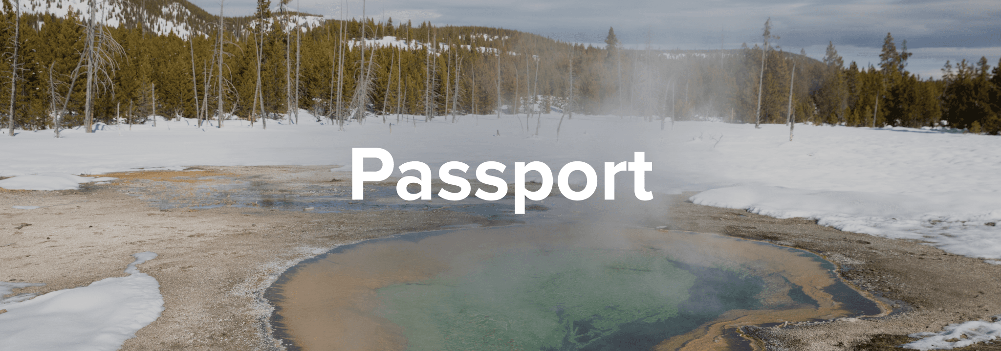 Passport
