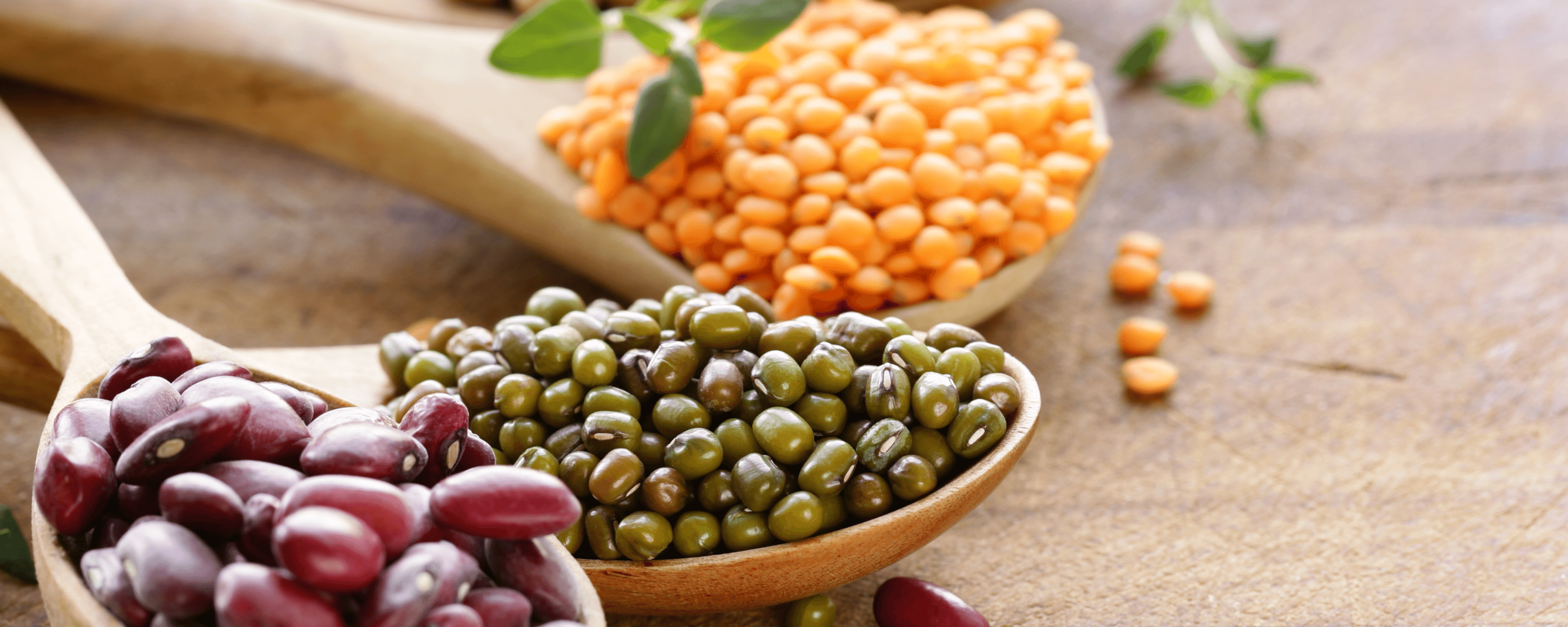 WordPress blog image - blog_protein@4x-1.png