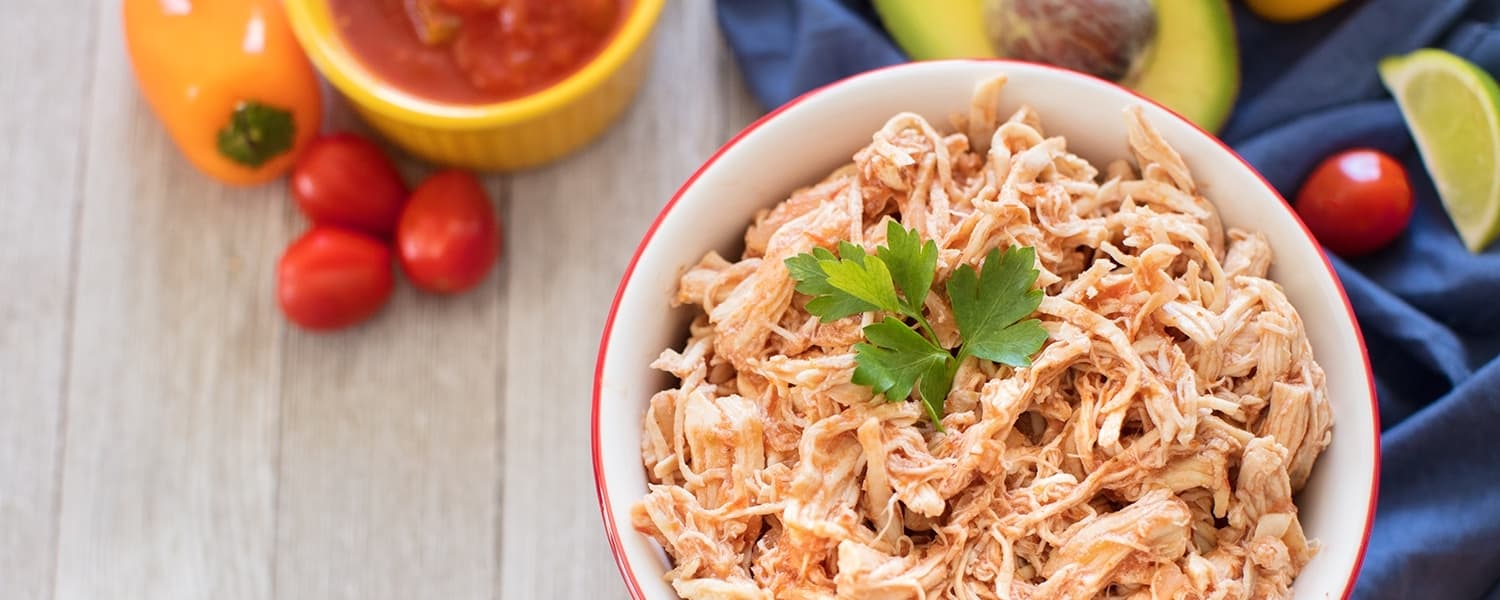 WordPress blog image - salsa-chicken-header.jpg